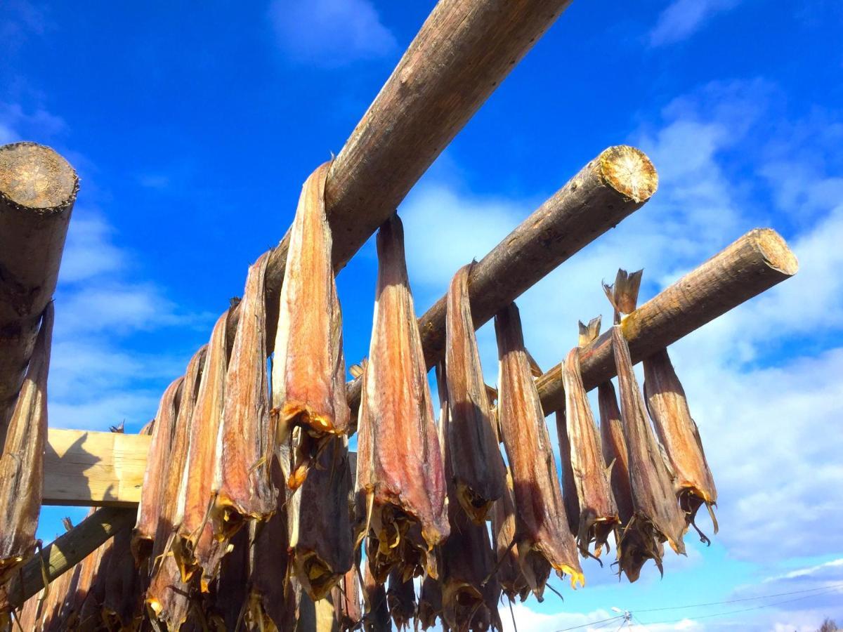 Eggum Fishermans Cabin Bostad المظهر الخارجي الصورة